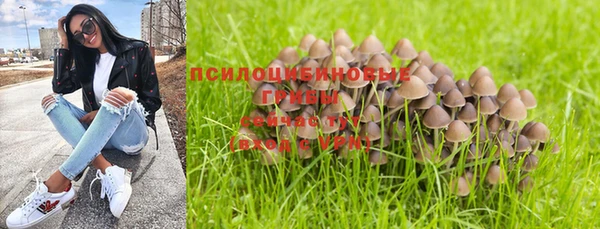PSILOCYBIN Абдулино