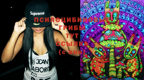 PSILOCYBIN Абдулино