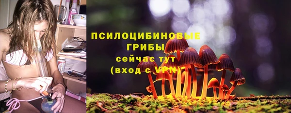 стаф Абаза