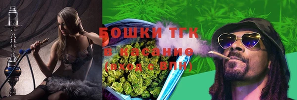 стаф Абаза